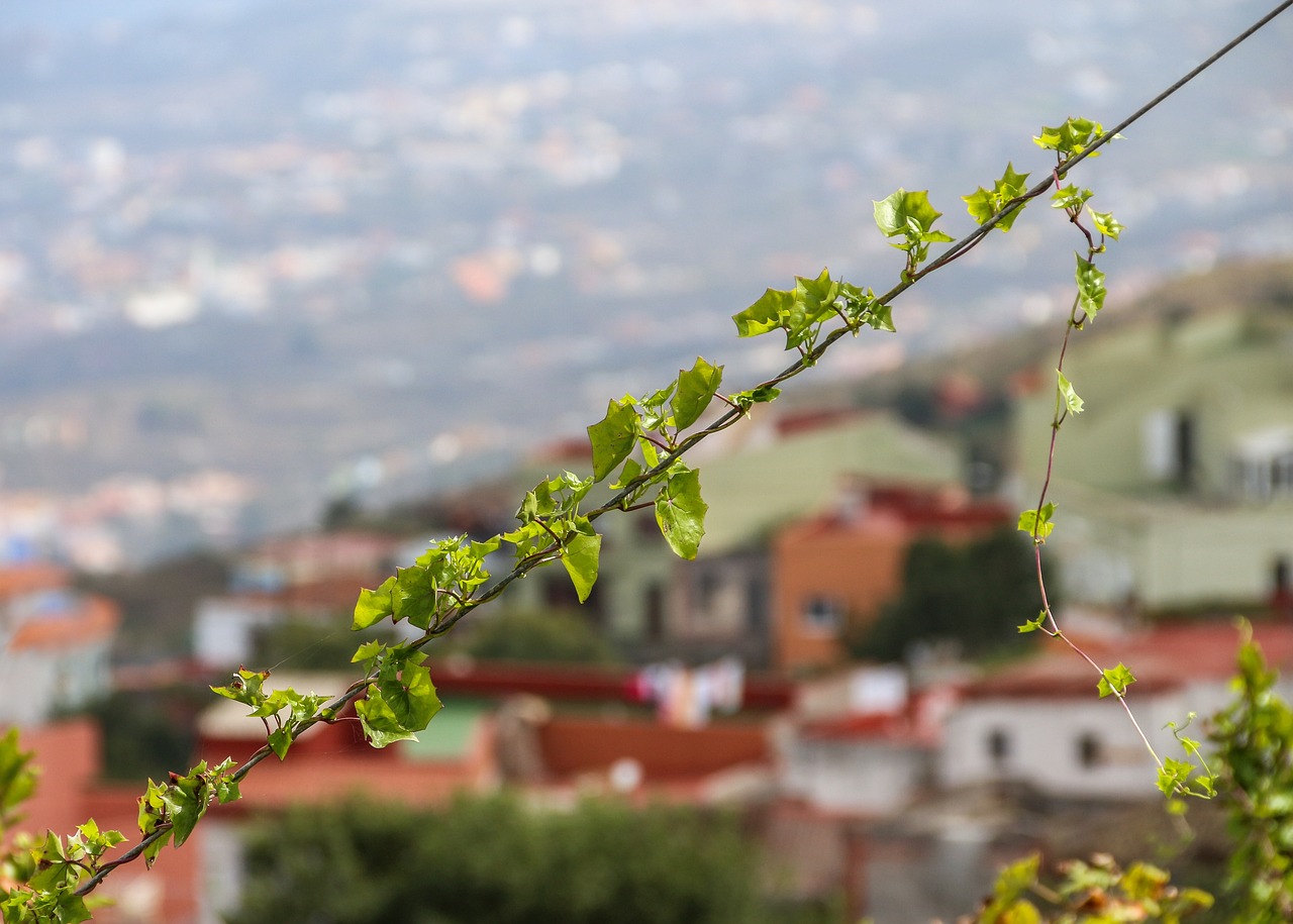 Is It Safe to Share Your Location on Social Media?
